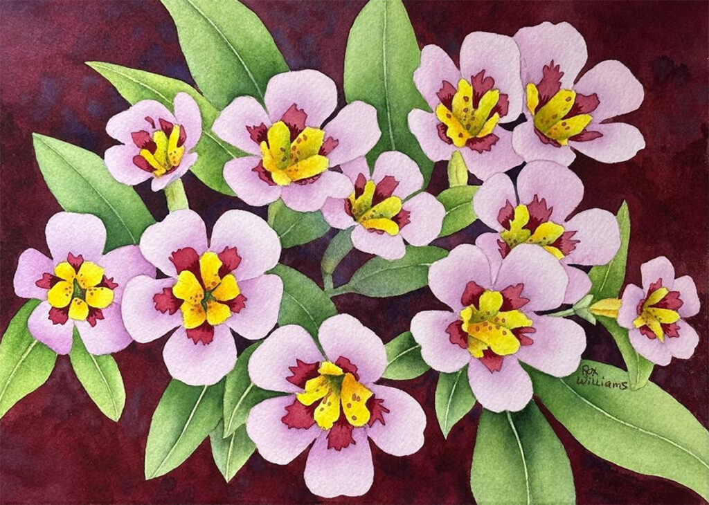 Death Valley Monkey Flowers Painting by Roxanne Williams