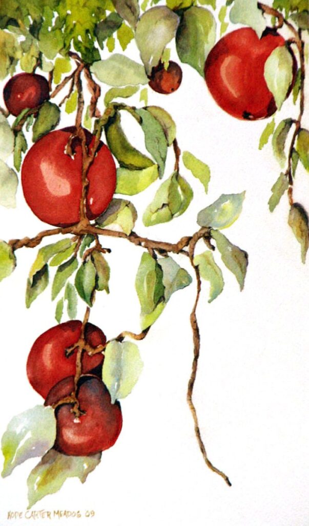 Wild Apples painting by Hope Meados