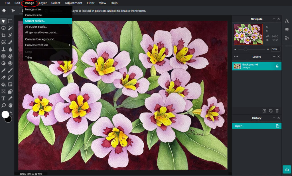 Resizing Images Using Pixlr - Watercolor Society of Oregon